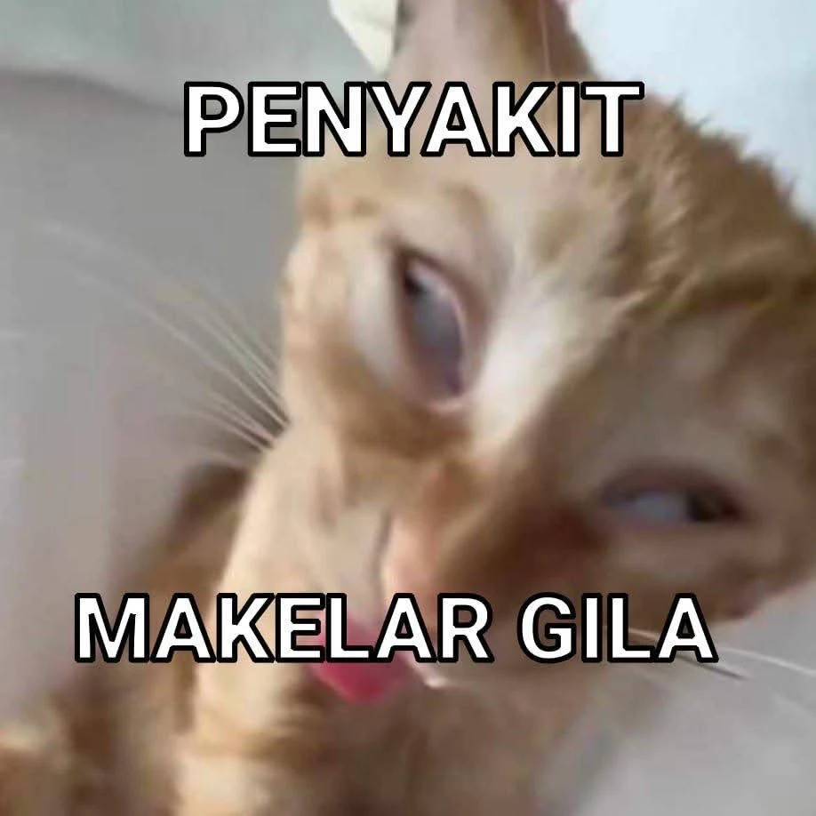 haeloe